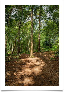 1 - Delamere - Bill Rigby